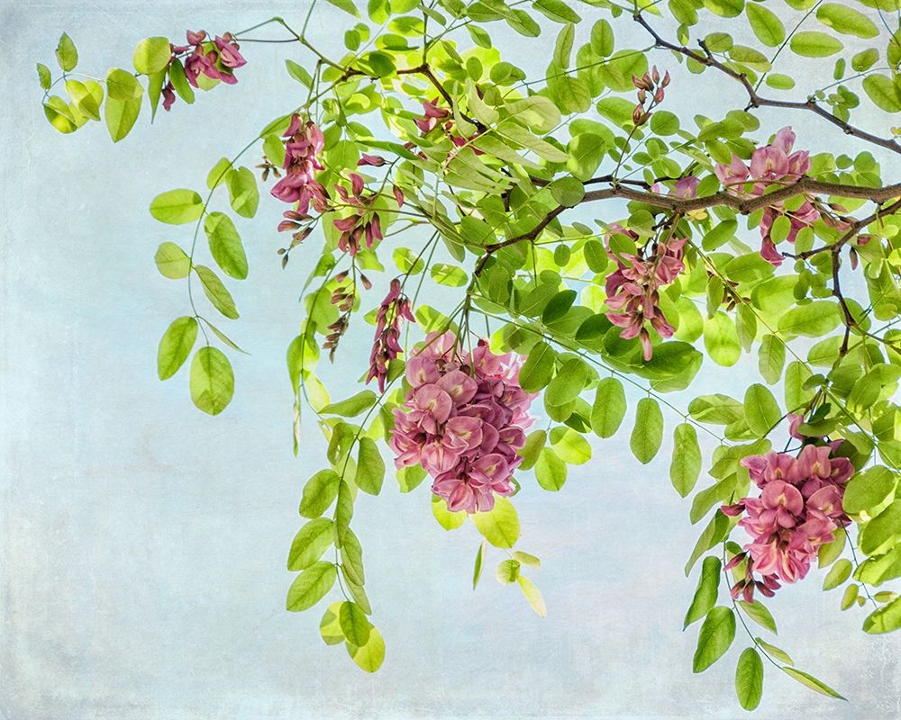 Looking up art print by Dianne Poinski for $57.95 CAD