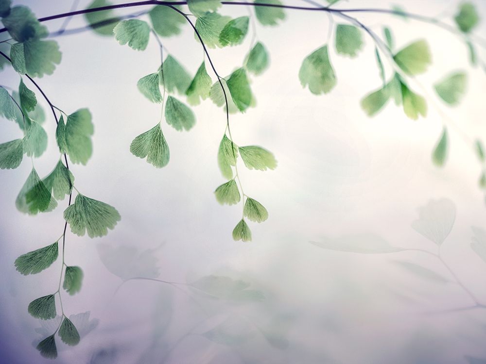 Fallen 1 art print by Dianne Poinski for $57.95 CAD