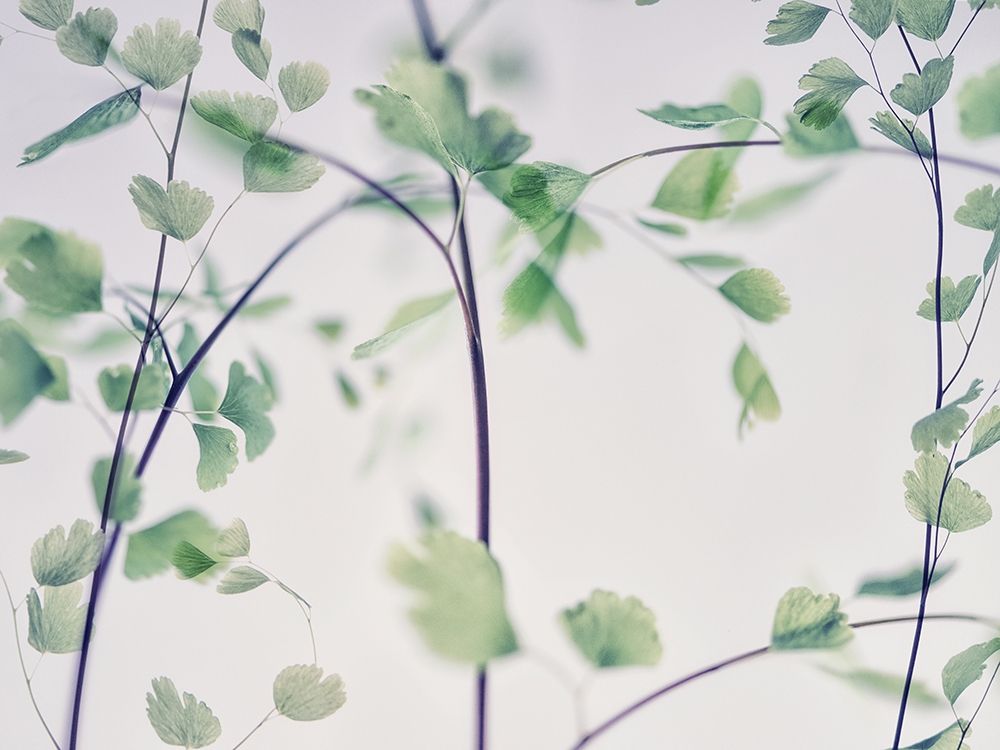 Fallen 2 art print by Dianne Poinski for $57.95 CAD