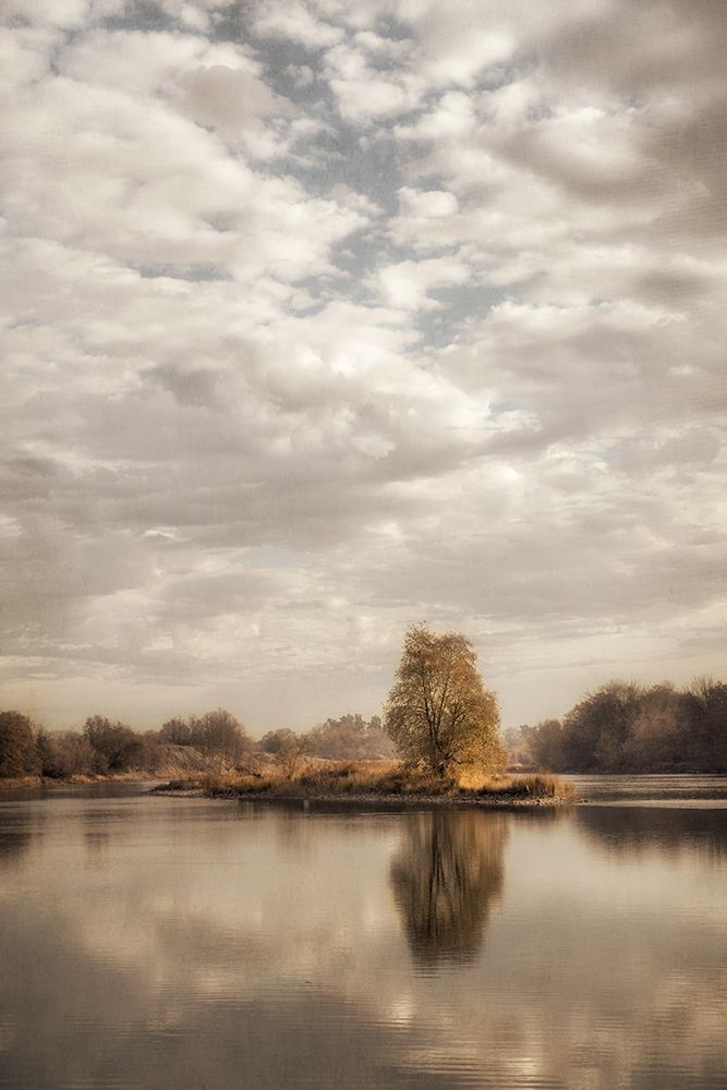 Reflect 1 art print by Dianne Poinski for $57.95 CAD