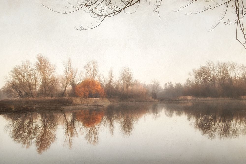 Fire Fall 1 art print by Dianne Poinski for $57.95 CAD