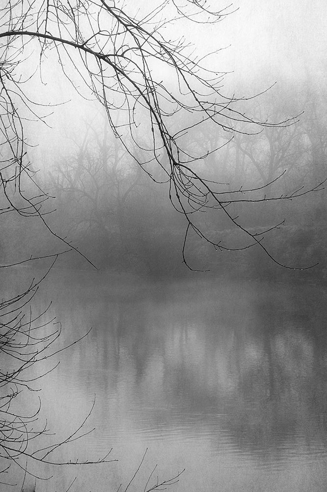 Misty Pond 1 BW art print by Dianne Poinski for $57.95 CAD
