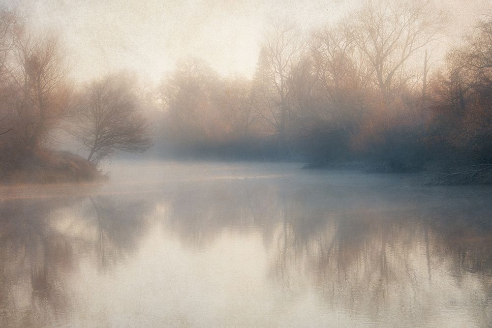 Lake 1 art print by Dianne Poinski for $57.95 CAD