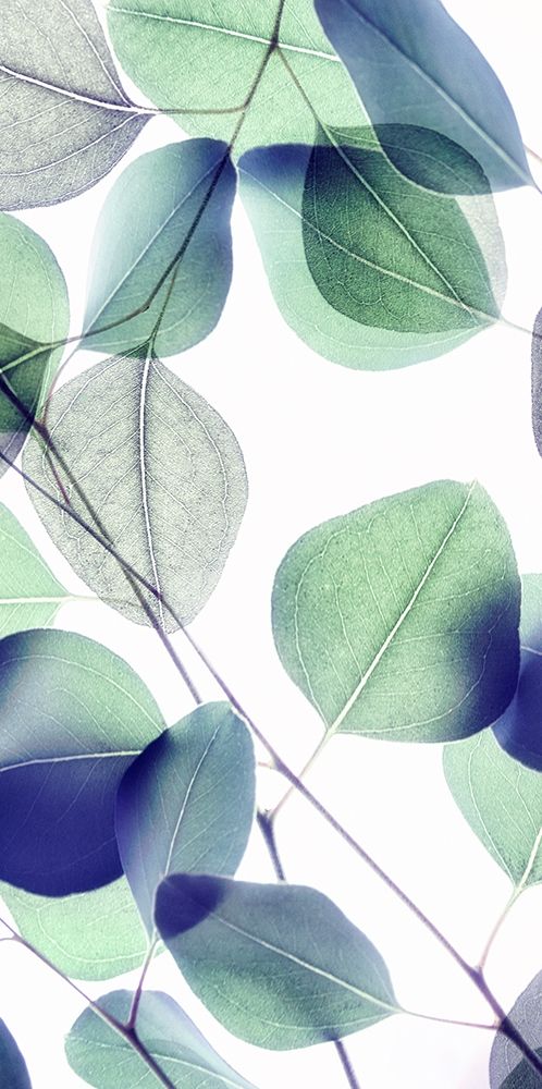 Vibrant Leaves 1 art print by Dianne Poinski for $57.95 CAD