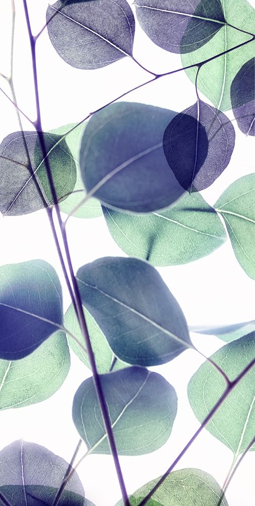 Vibrant Leaves 2 art print by Dianne Poinski for $57.95 CAD