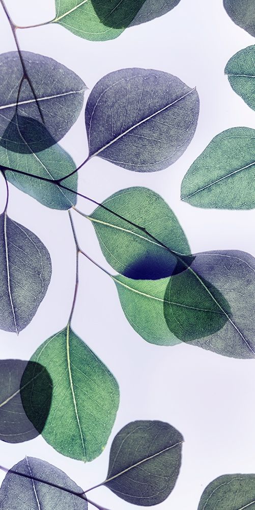 Vibrant Leaves 3 art print by Dianne Poinski for $57.95 CAD