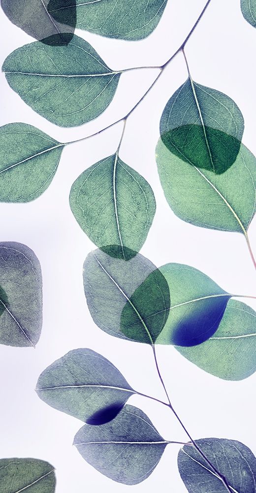 Vibrant Leaves 4 art print by Dianne Poinski for $57.95 CAD
