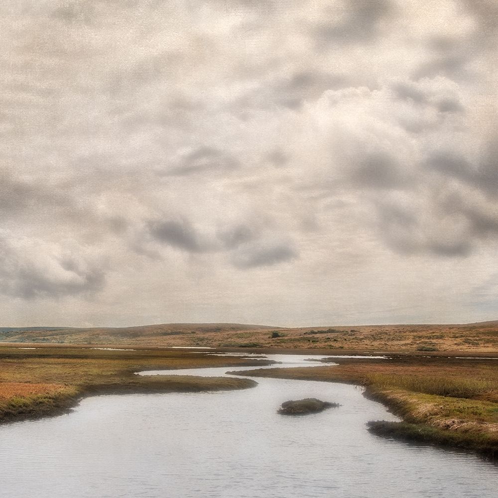 Estuary II art print by Dianne Poinski for $57.95 CAD