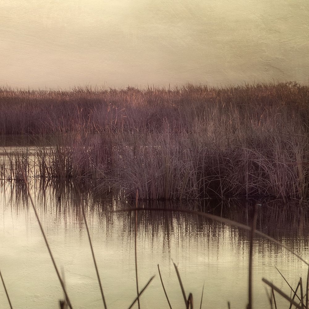 Wetlands Marsh 3 art print by Dianne Poinski for $57.95 CAD