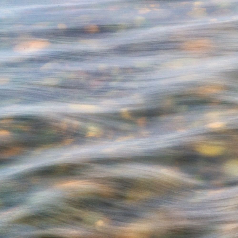 Flow 1 art print by Dianne Poinski for $57.95 CAD