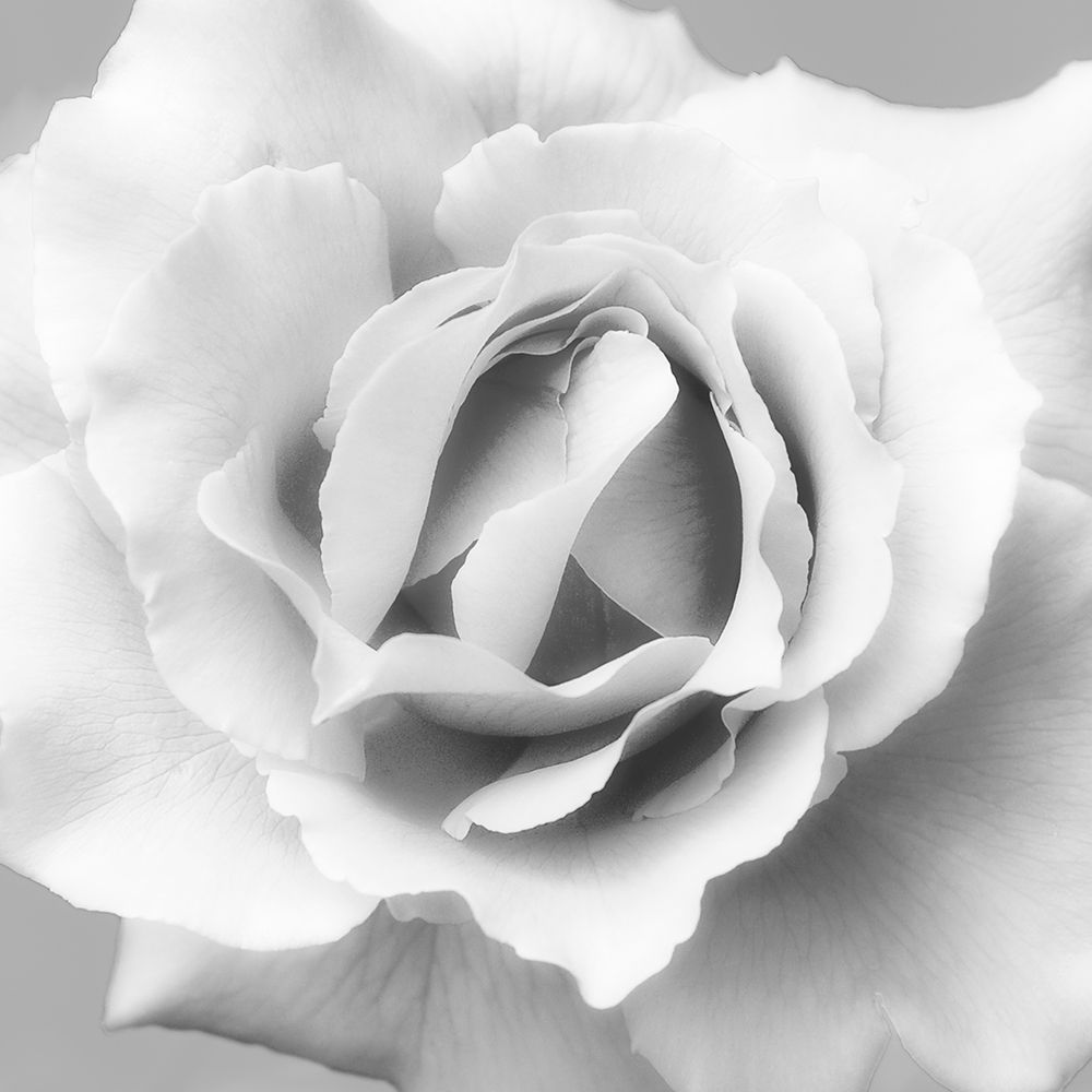 Beautiful Dreams 2 art print by Dianne Poinski for $57.95 CAD