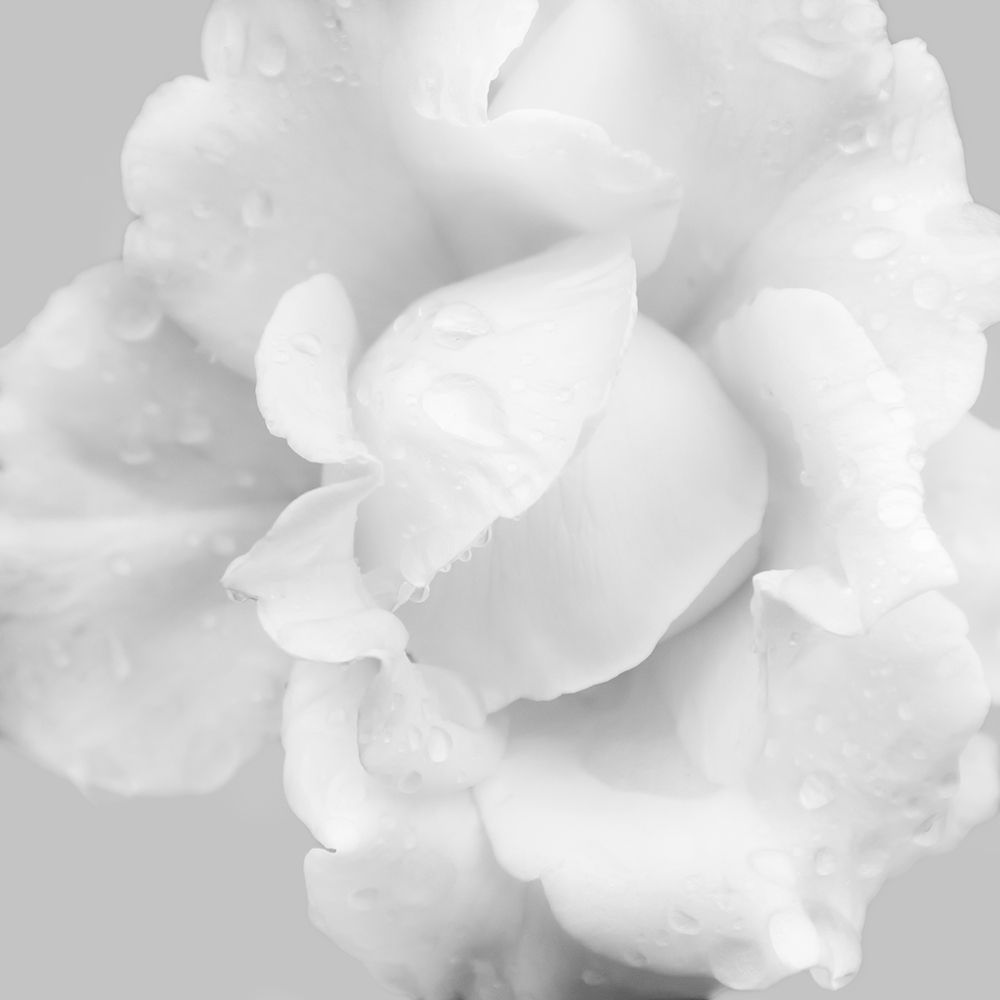 Beautiful Dreams 3 art print by Dianne Poinski for $57.95 CAD