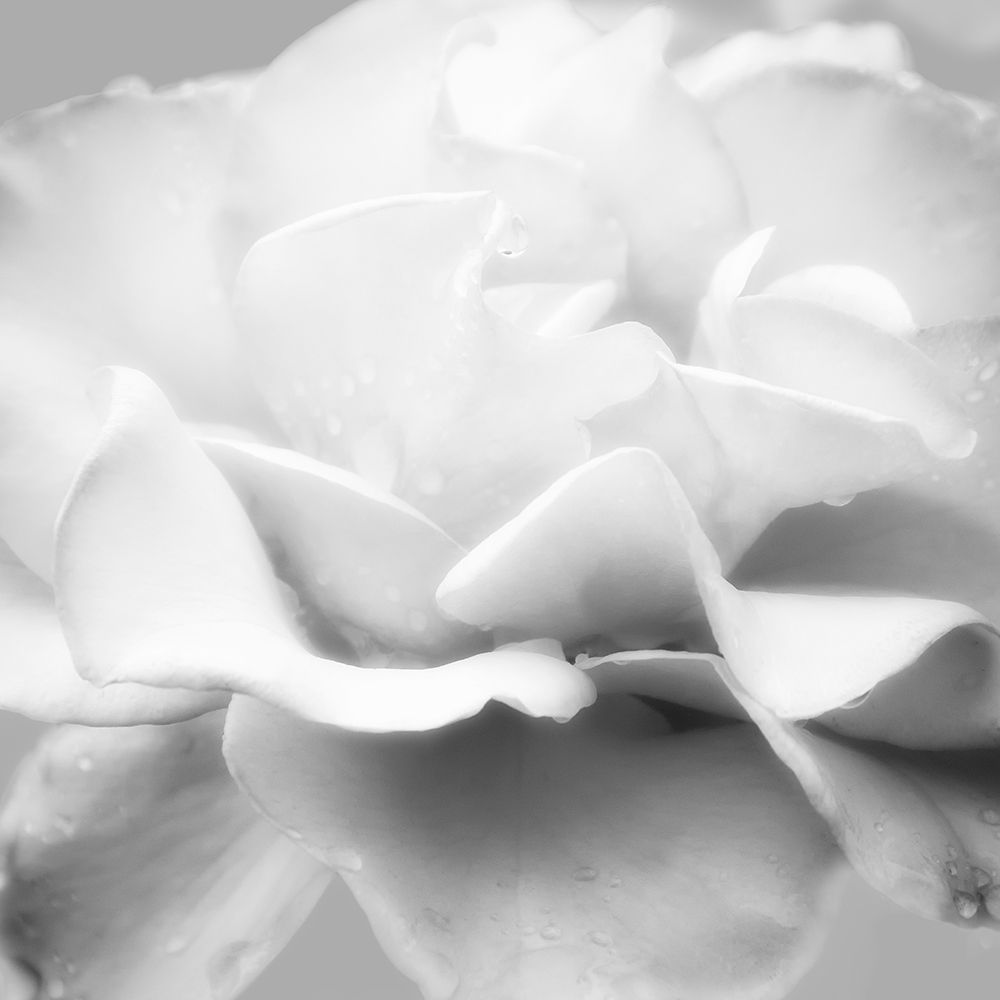 Beautiful Dreams 5 art print by Dianne Poinski for $57.95 CAD