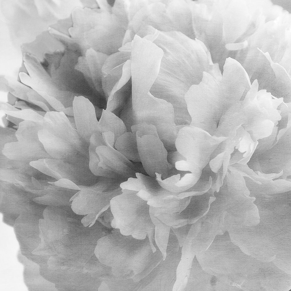 Blooming Intellect 1 art print by Dianne Poinski for $57.95 CAD