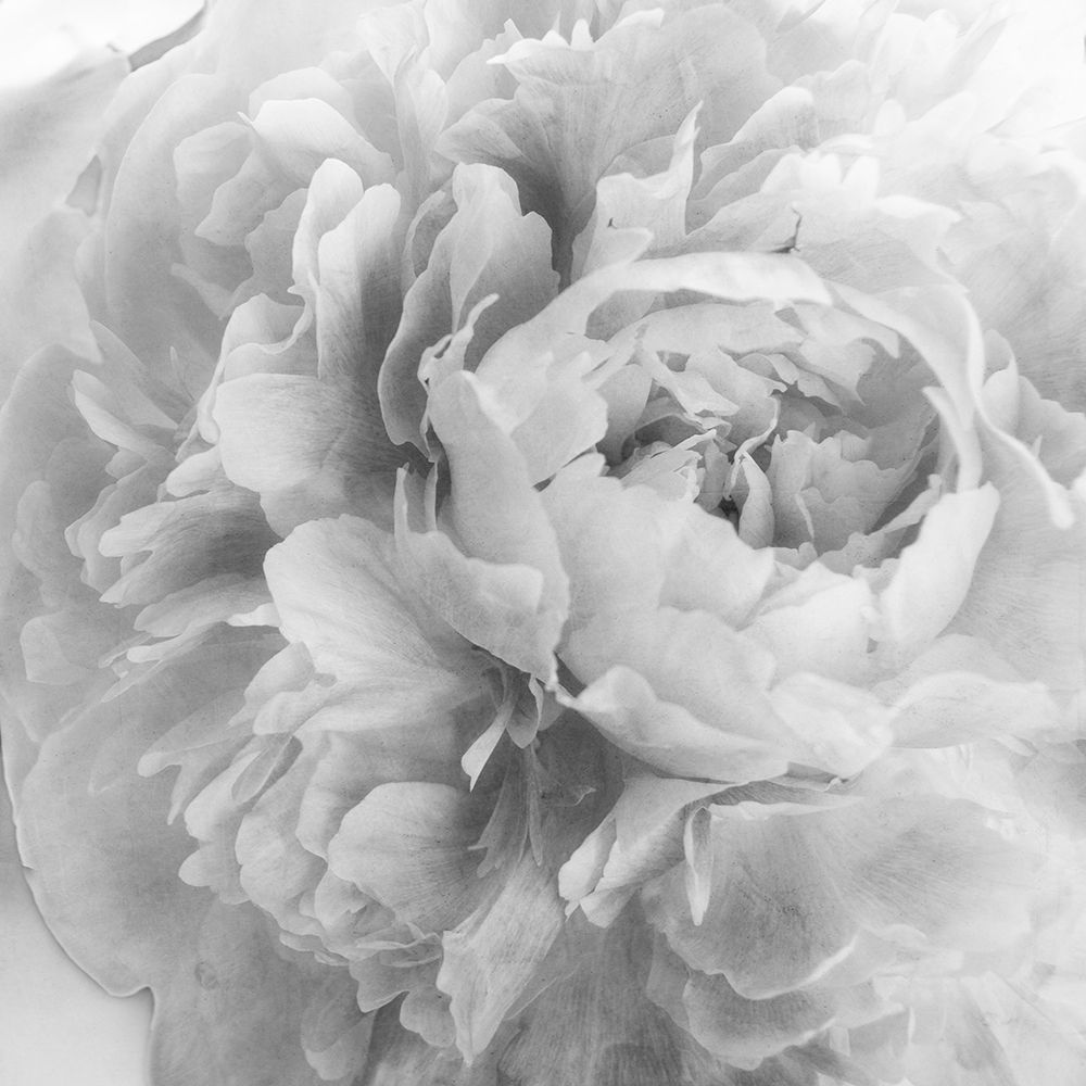 Blooming Intellect 2 art print by Dianne Poinski for $57.95 CAD