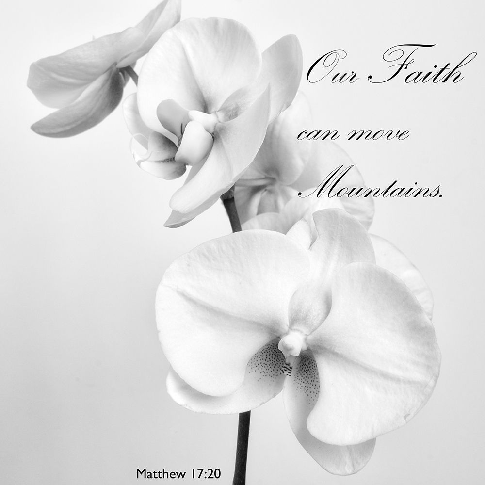 Mountain Orchids art print by Dianne Poinski for $57.95 CAD