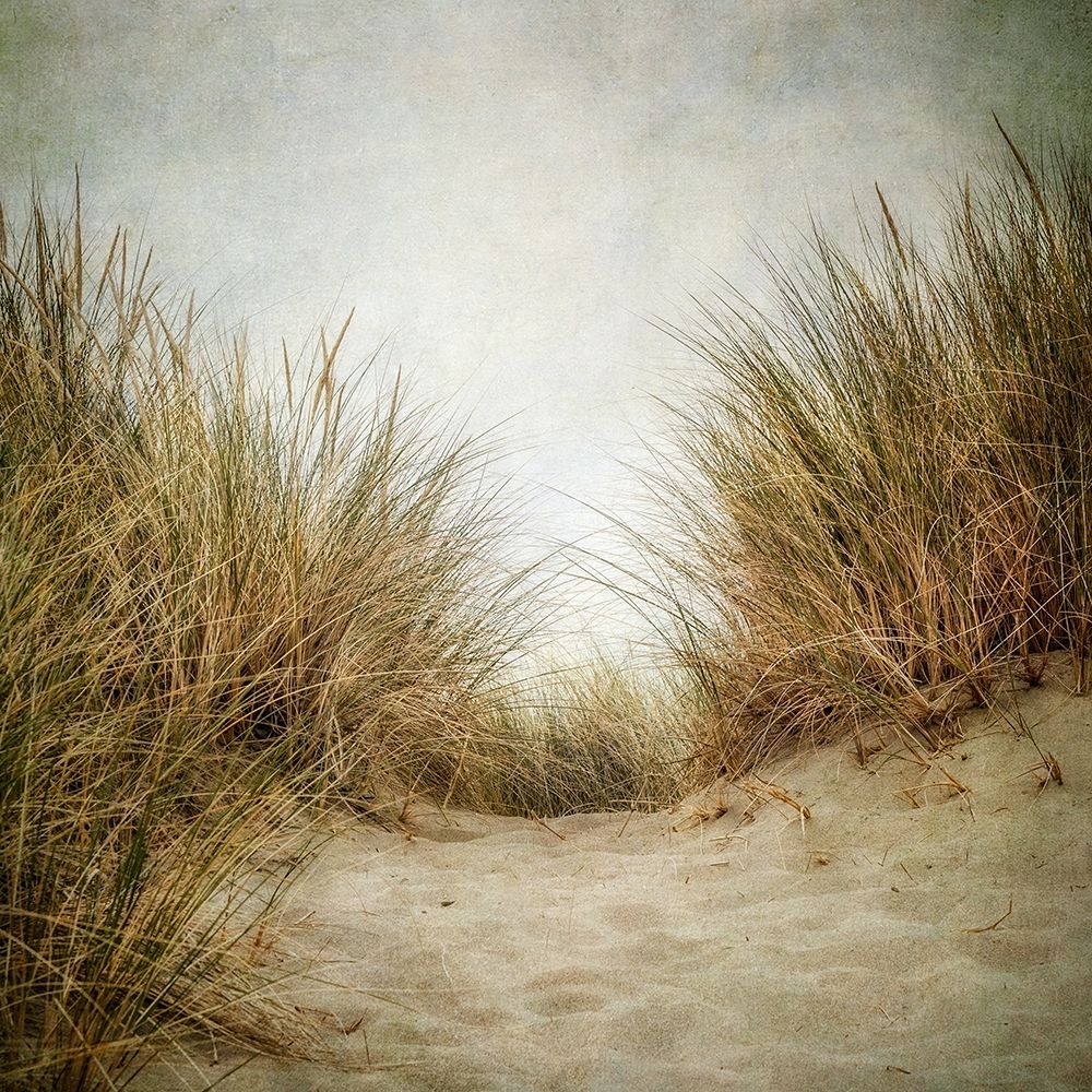 Beach Grasses 2 art print by Dianne Poinski for $57.95 CAD