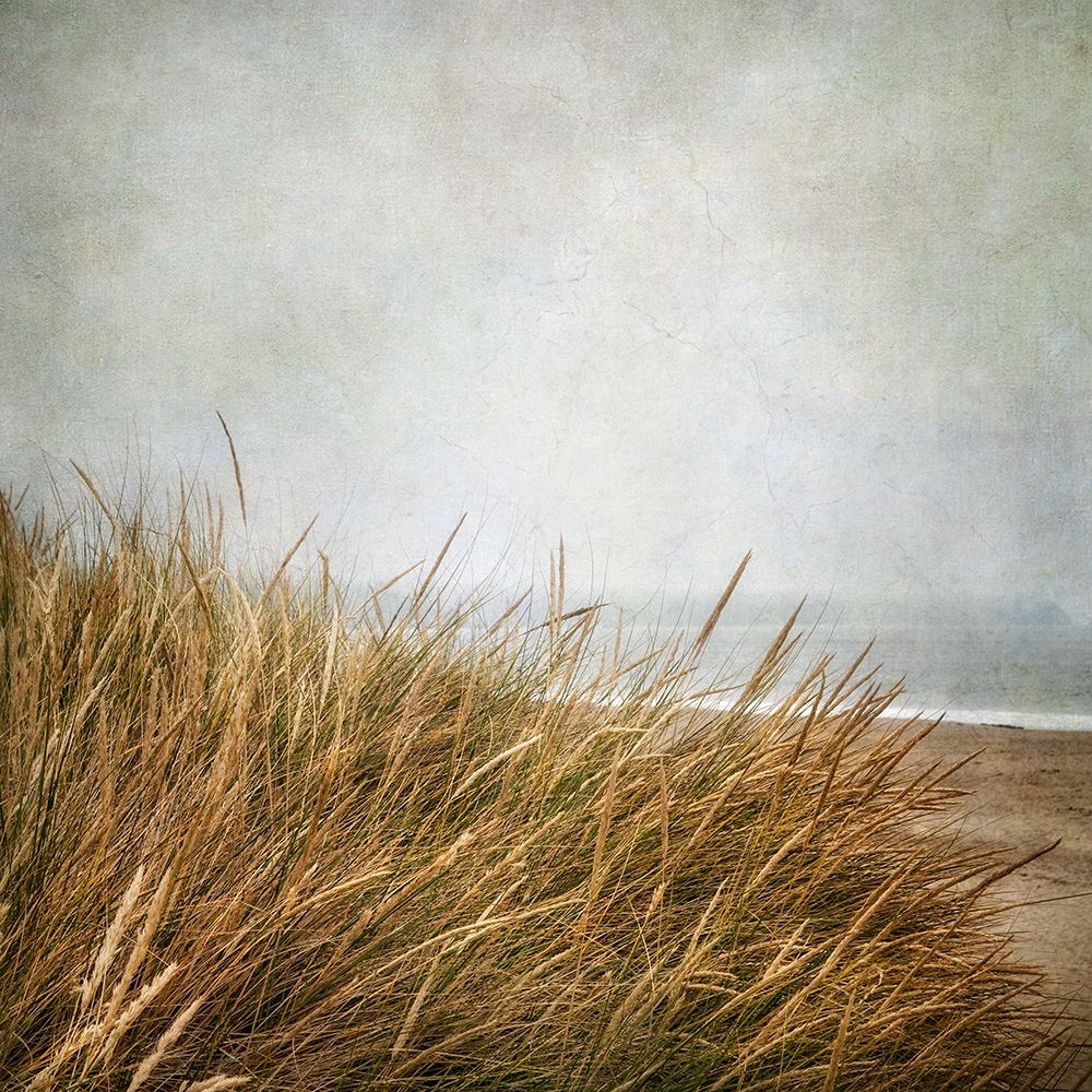 Beach Grasses 4 art print by Dianne Poinski for $57.95 CAD