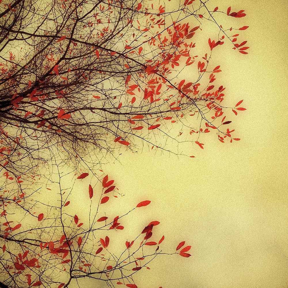 Autumn Red and Gold 1 art print by Dianne Poinski for $57.95 CAD