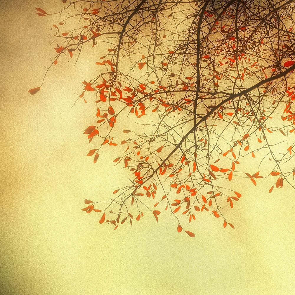 Autumn Red and Gold 3 art print by Dianne Poinski for $57.95 CAD