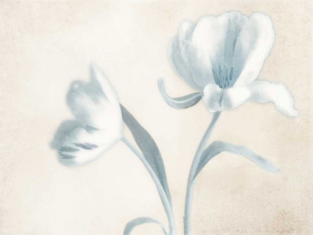 Whispering Sky 1 art print by Dianne Poinski for $57.95 CAD