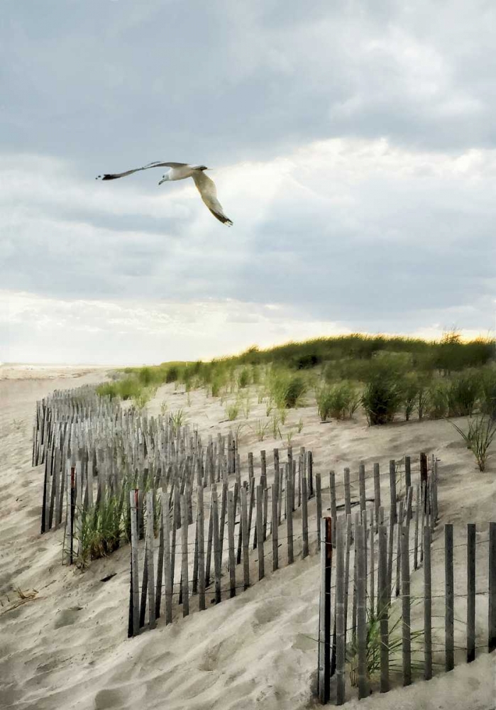 Dawning Seagull and Godbeams art print by Joseph Rowland for $57.95 CAD