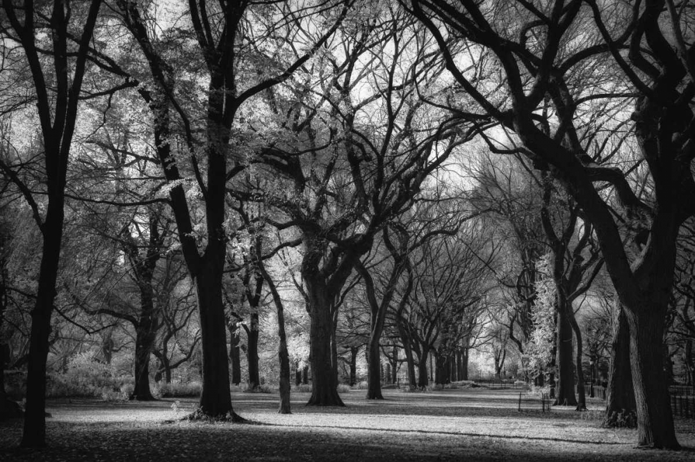 The Mall art print by Joseph Rowland for $57.95 CAD