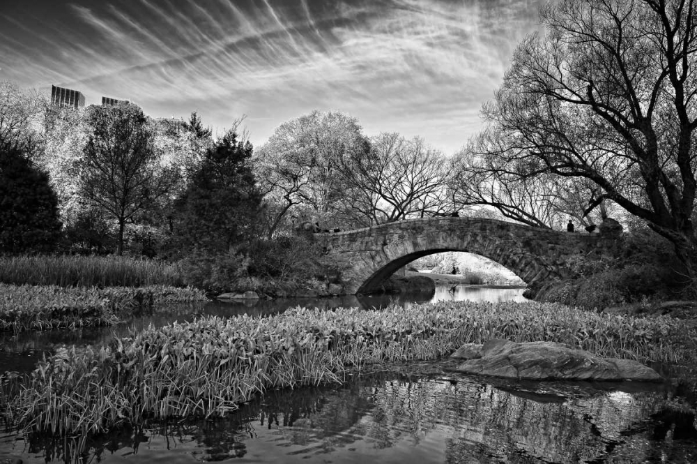 Magic Of Central Park art print by Joseph Rowland for $57.95 CAD
