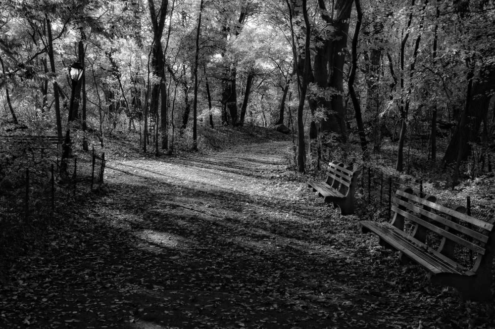 Quiet Path art print by Joseph Rowland for $57.95 CAD
