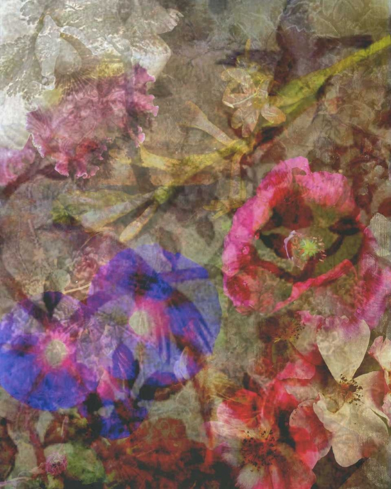 Floral Meeting 2 art print by Smith Haynes for $57.95 CAD