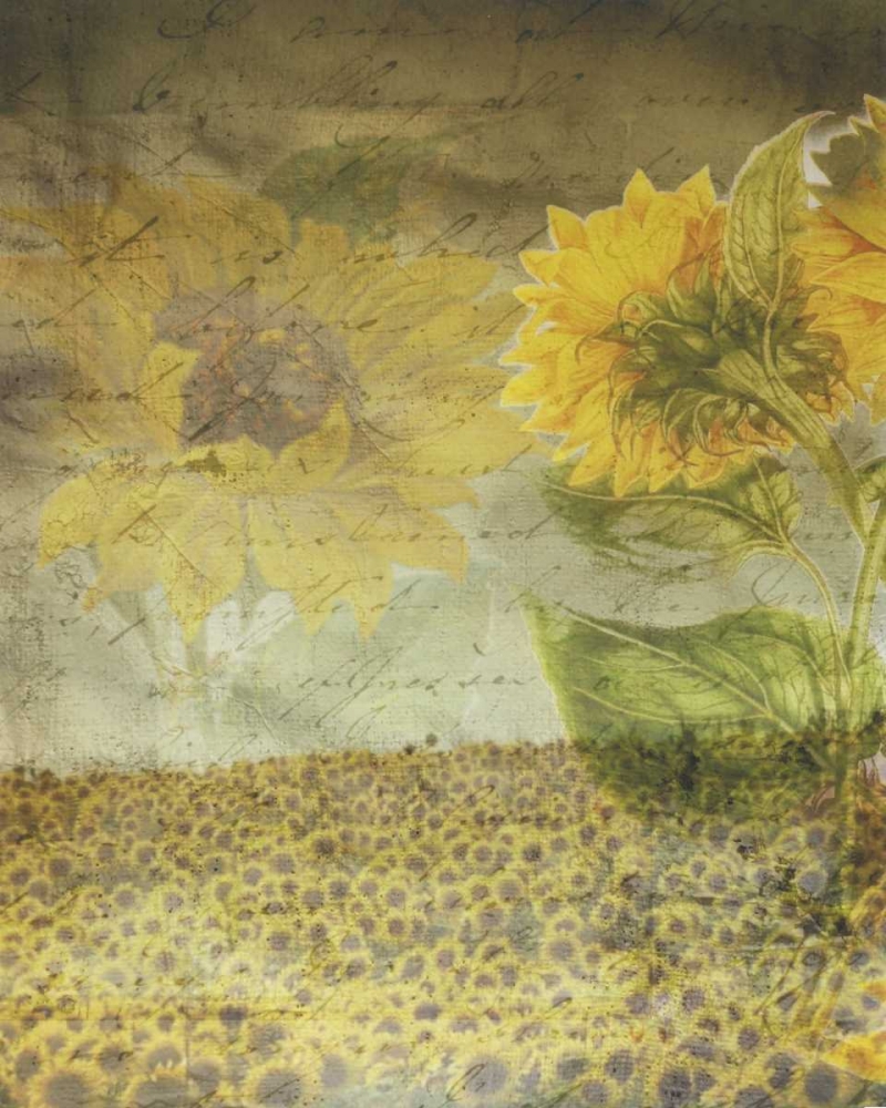 Dear Sunflower Field art print by Smith Haynes for $57.95 CAD