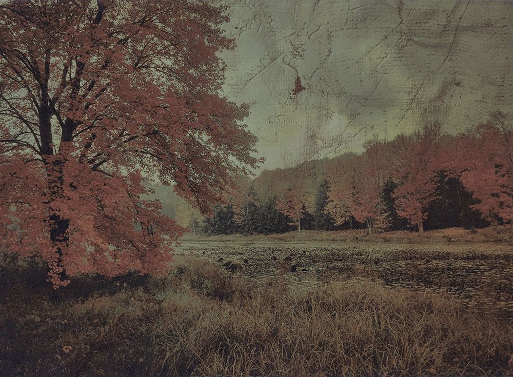Fall In The Mist art print by Smith Haynes for $57.95 CAD