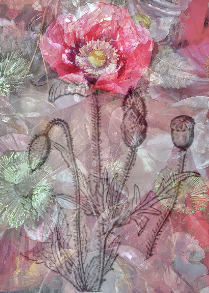 Deep Blossom 1 art print by Smith Haynes for $57.95 CAD