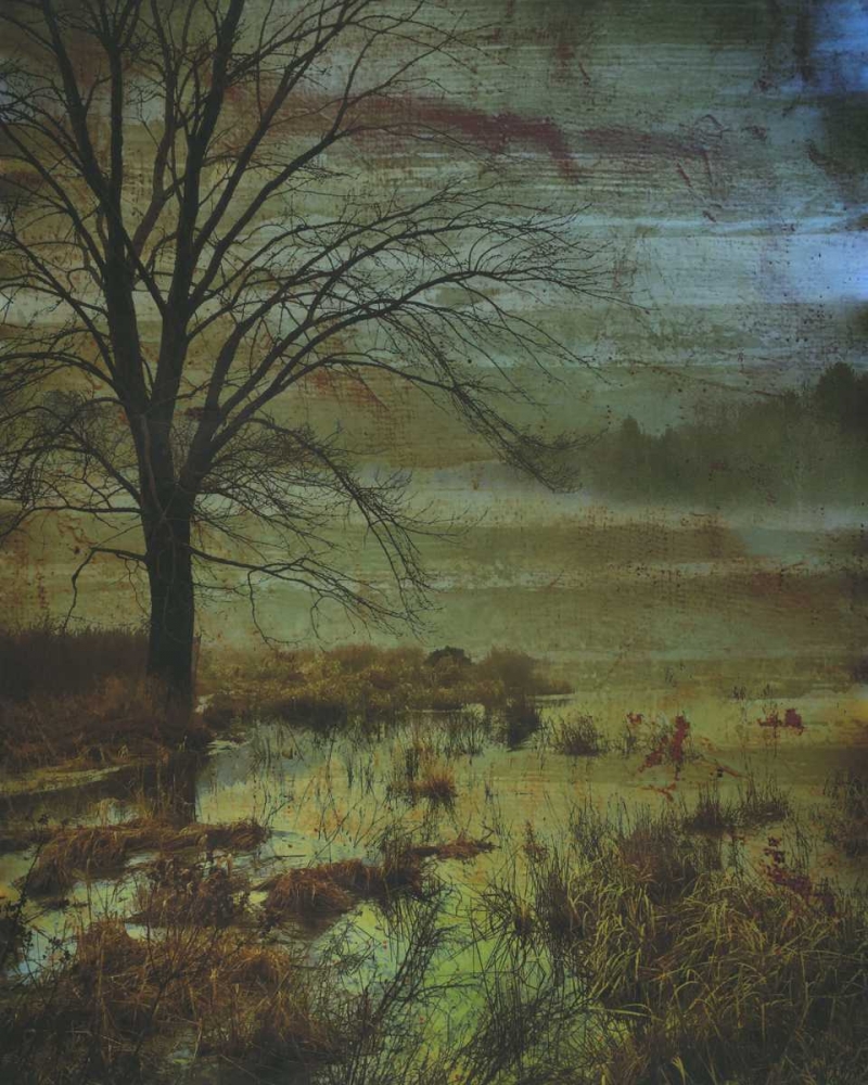 Somewhere Beyond The Mist 1 art print by Smith Haynes for $57.95 CAD