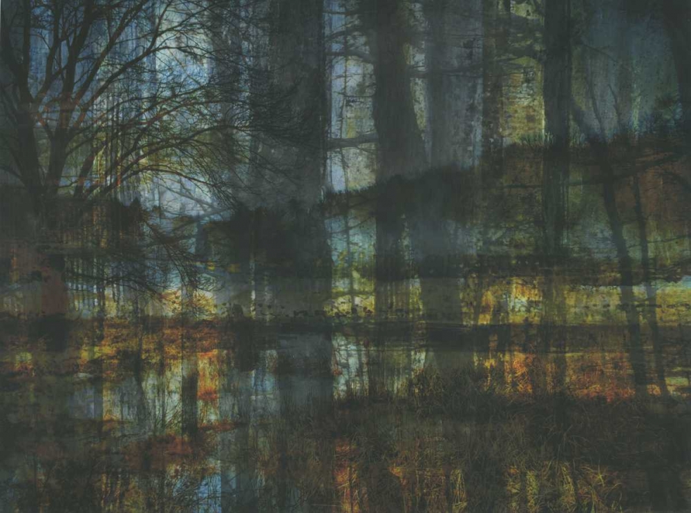 Natural Reflection art print by Smith Haynes for $57.95 CAD
