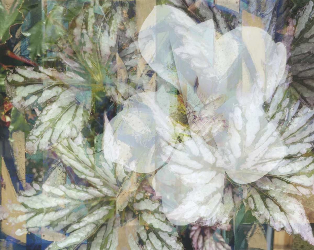 Distorted Jungle 1 art print by Smith Haynes for $57.95 CAD