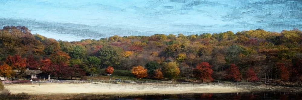 Fall On Canvas art print by Sheldon Lewis for $57.95 CAD