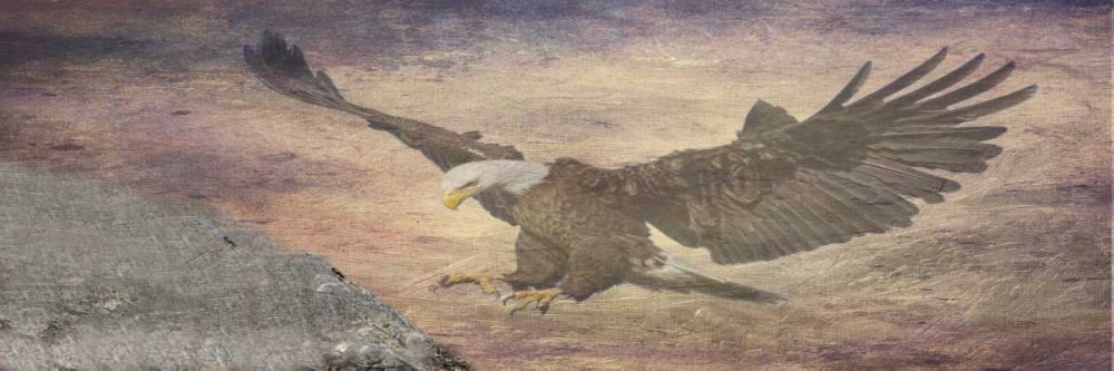 Free Spirit art print by Sheldon Lewis for $57.95 CAD