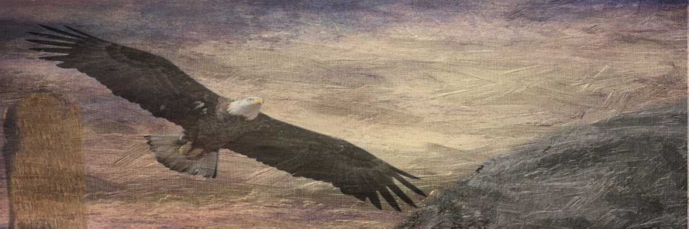 Free Spirit 2 art print by Sheldon Lewis for $57.95 CAD