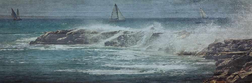 Coastal Drift Wood art print by Sheldon Lewis for $57.95 CAD