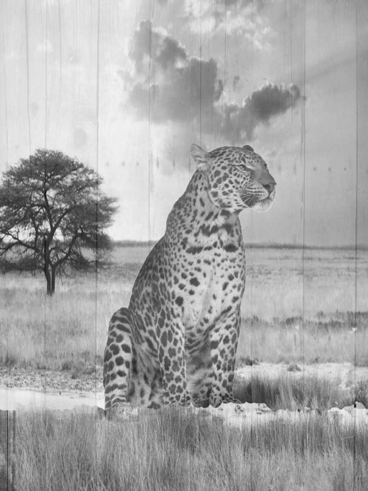 Go Wild art print by Sheldon Lewis for $57.95 CAD