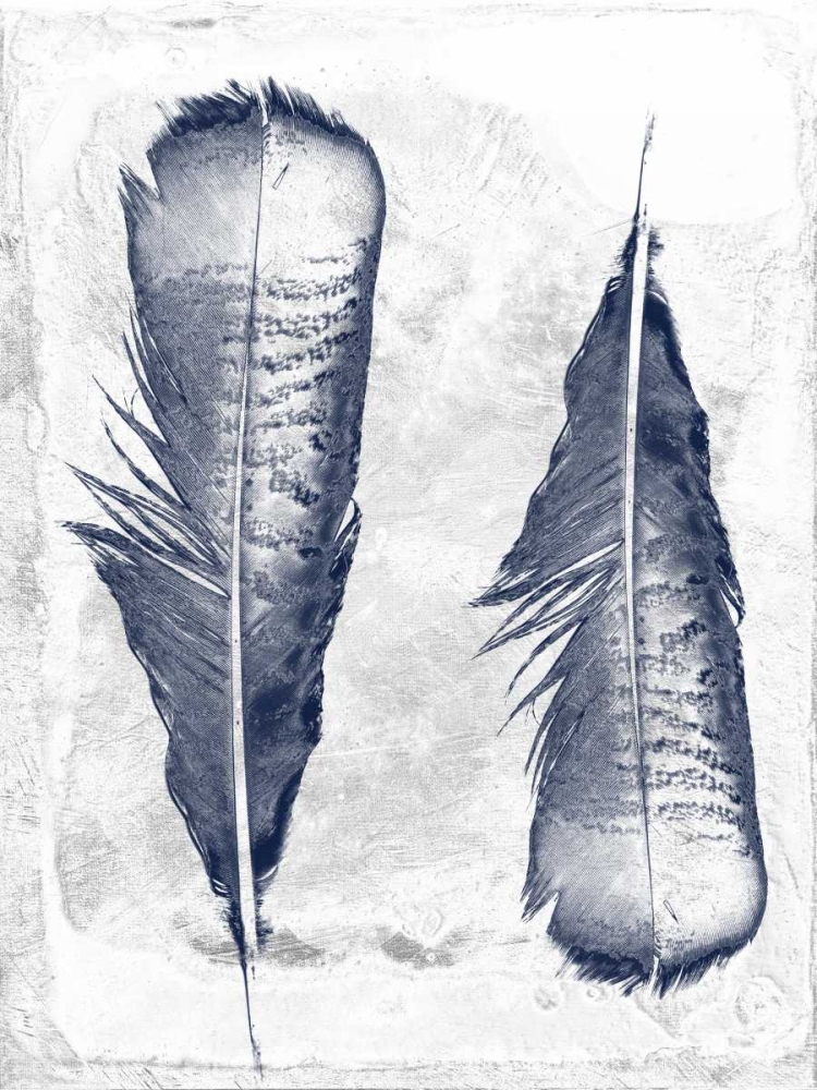 Feather Duo art print by Sheldon Lewis for $57.95 CAD