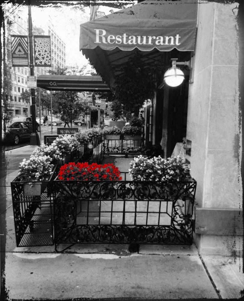 Red Restaurant Flora Pop art print by Sheldon Lewis for $57.95 CAD