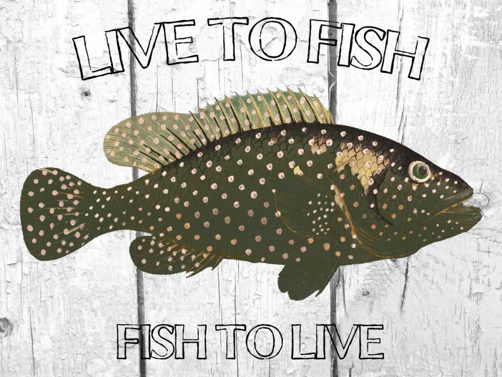 Live To Fish art print by Sheldon Lewis for $57.95 CAD