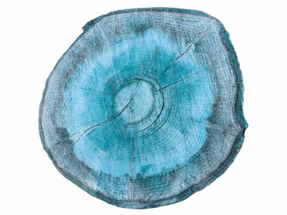 Rings Of Ages 2 art print by Sheldon Lewis for $57.95 CAD