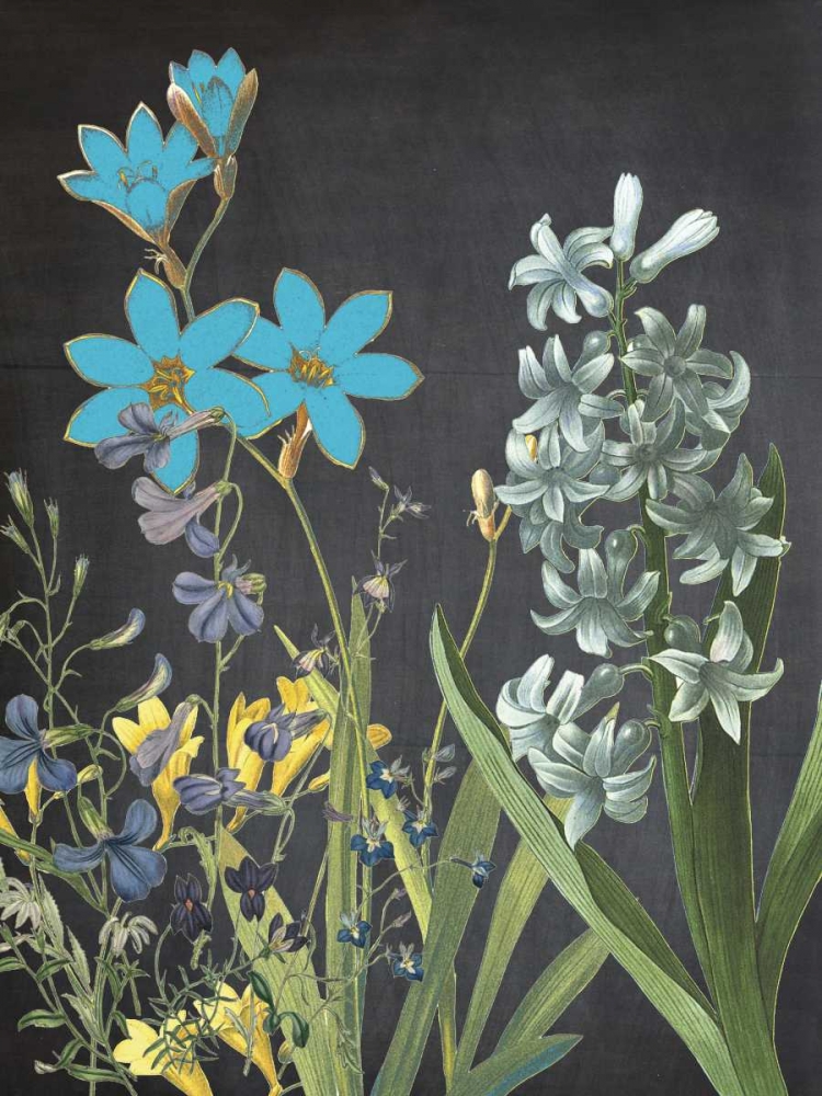Fresh Meadow Bloom art print by Sheldon Lewis for $57.95 CAD