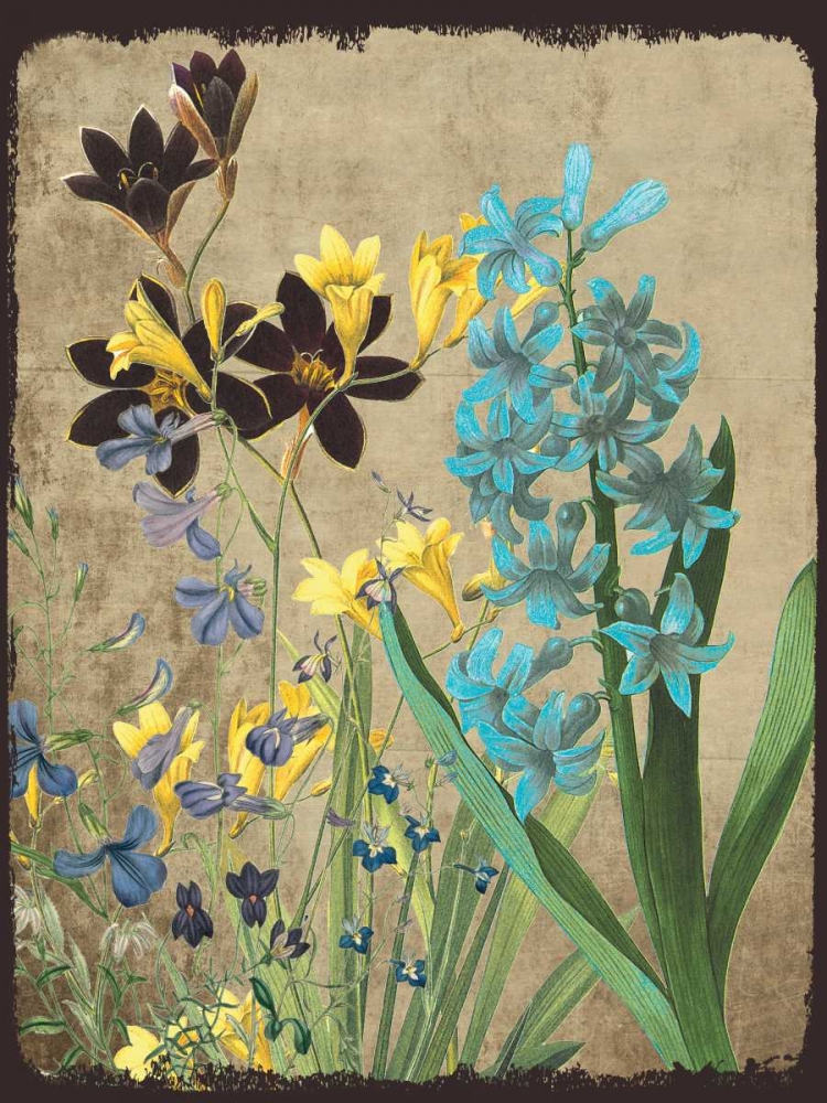 Fresh Meadow Bloom art print by Sheldon Lewis for $57.95 CAD