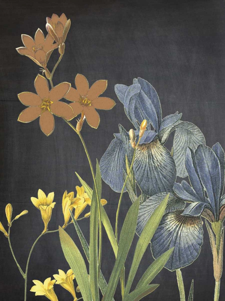 Meadow Bloom art print by Sheldon Lewis for $57.95 CAD