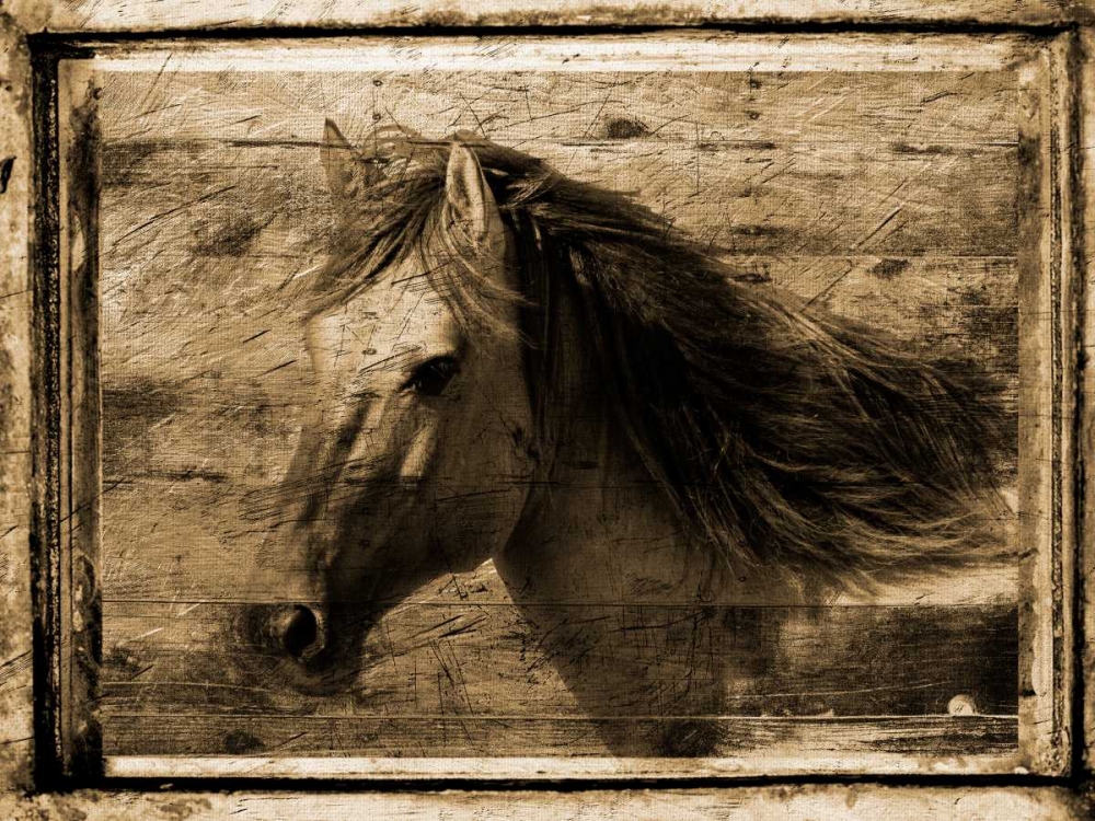 Noble Steed art print by Sheldon Lewis for $57.95 CAD