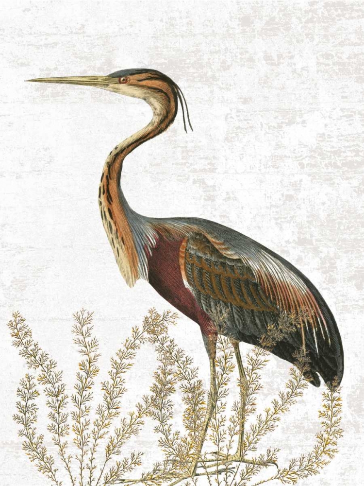 Bird In The Field art print by Sheldon Lewis for $57.95 CAD